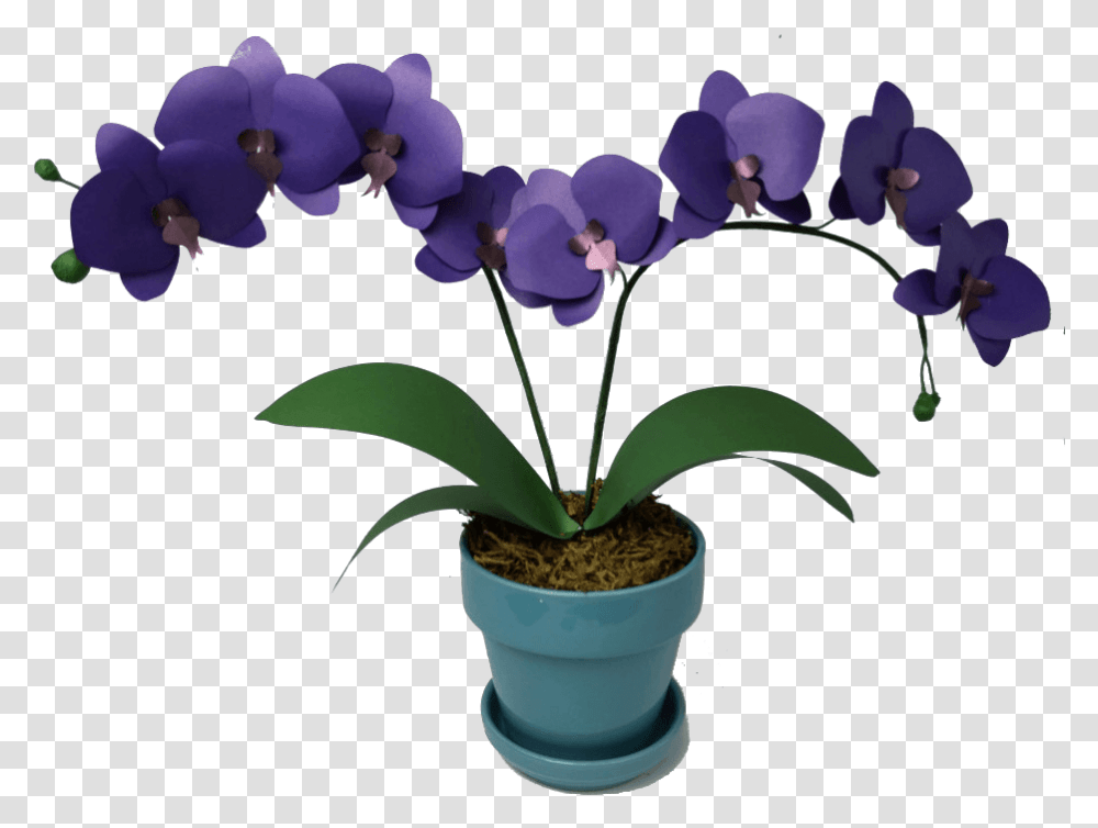 Learn How To Make This Paper Orchid Pattern Orchid Templates, Plant, Flower, Blossom, Iris Transparent Png