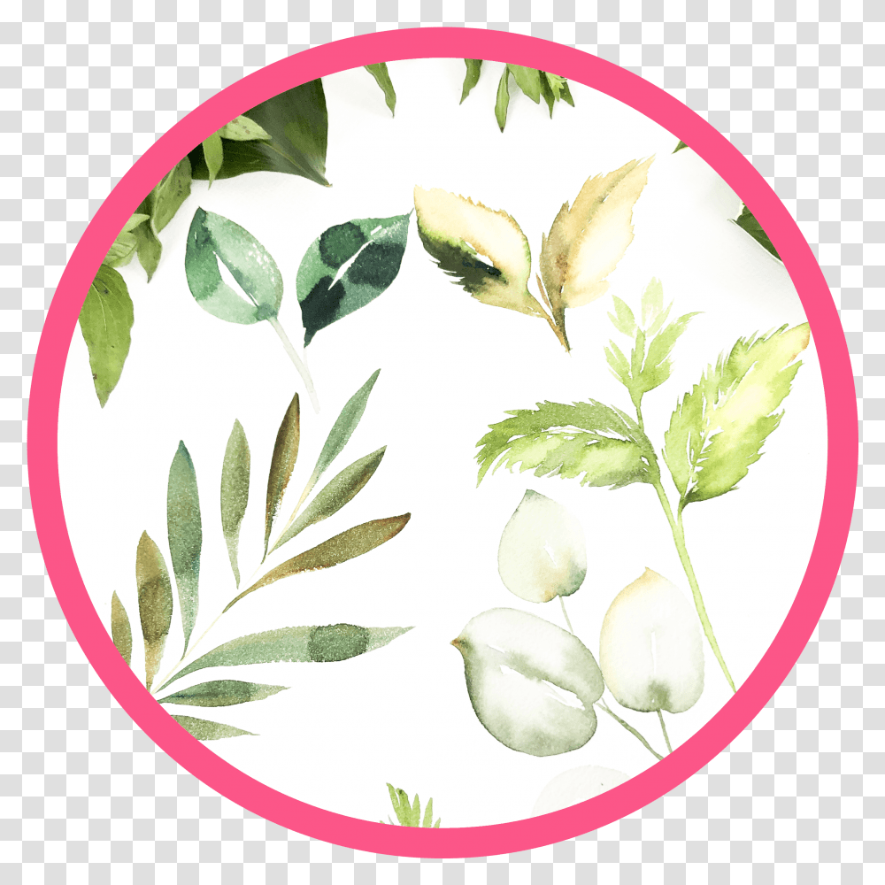 Learn How To Quickly Create Breathtaking Watercolor Hungry Hearts Soccer School, Plant, Leaf, Vase, Jar Transparent Png