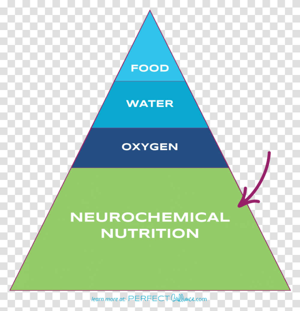 Learn More About Neurochemical Nutrition At Perfectbrilliance Triangle, Building, Architecture Transparent Png