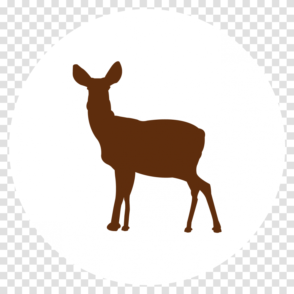 Learn To Hunt Online Today's Hunter Animal Figure, Deer, Wildlife, Mammal, Antelope Transparent Png