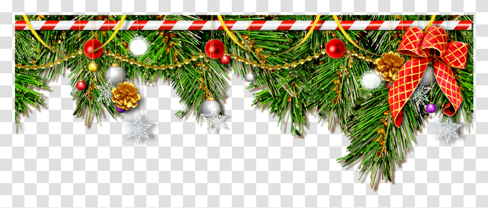 Learning About Christmas Traditions Molduras Para Fotos Natal Gratis Online, Tree, Plant, Ornament, Christmas Tree Transparent Png