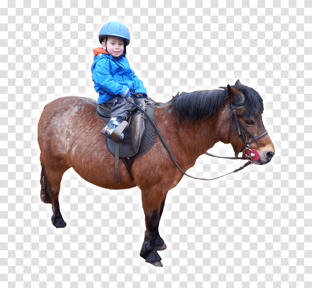 Learning With Horses Boy Riding Horse, Mammal, Animal, Person, Human Transparent Png