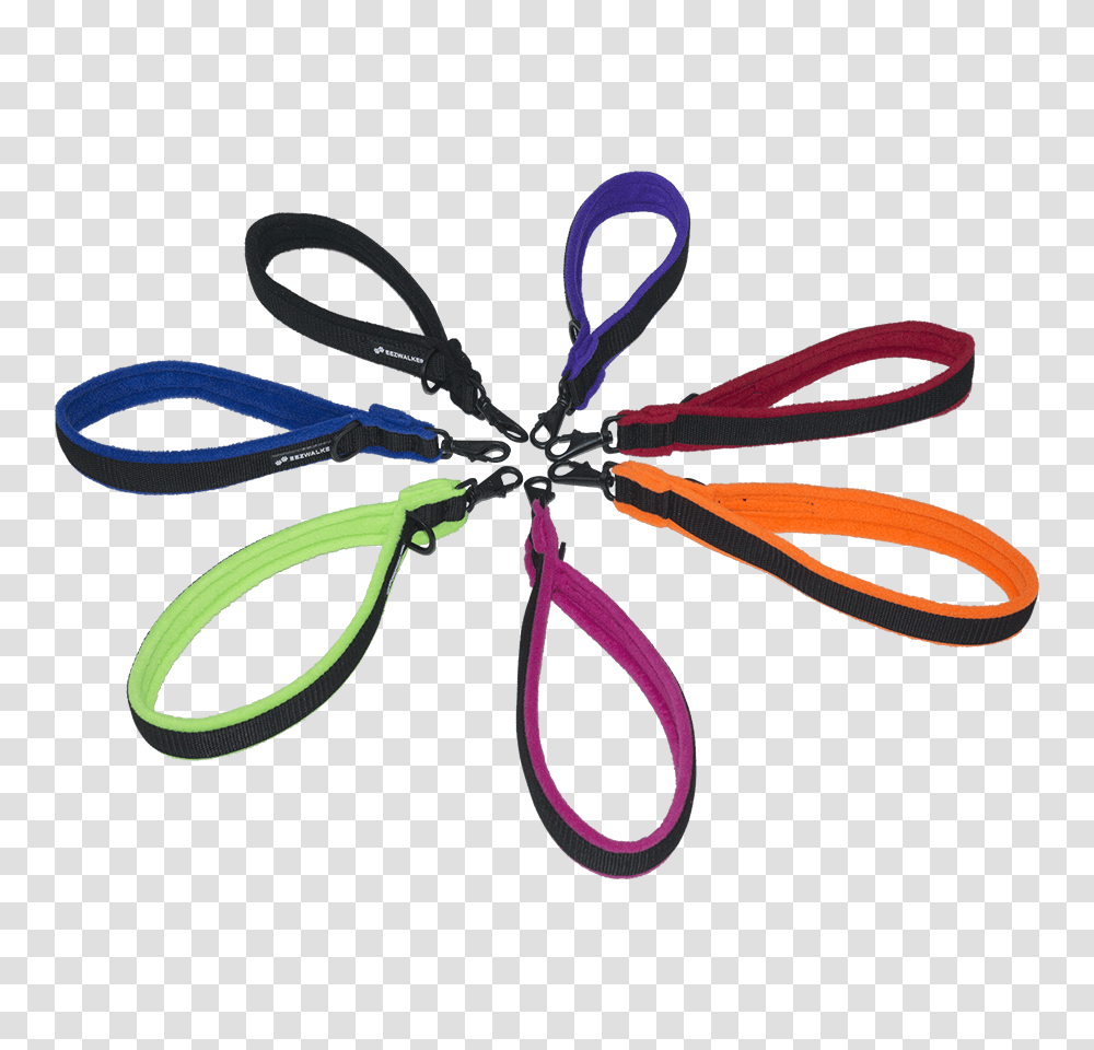 Leash, Invertebrate, Animal, Insect, Dragonfly Transparent Png