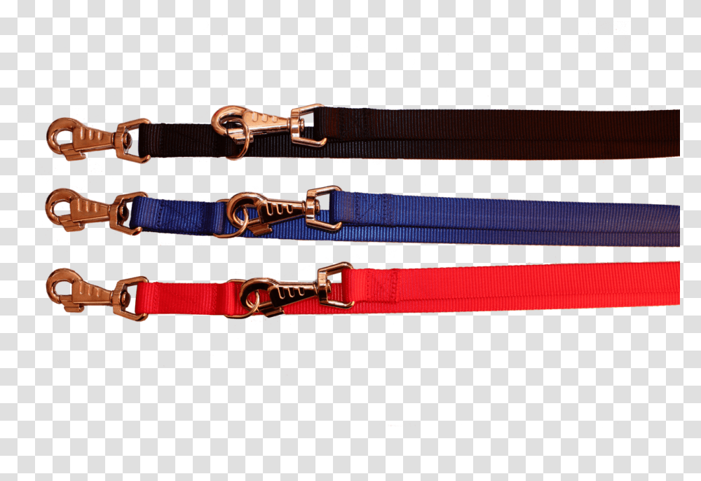 Leash, Strap, Accessories, Accessory, Buckle Transparent Png