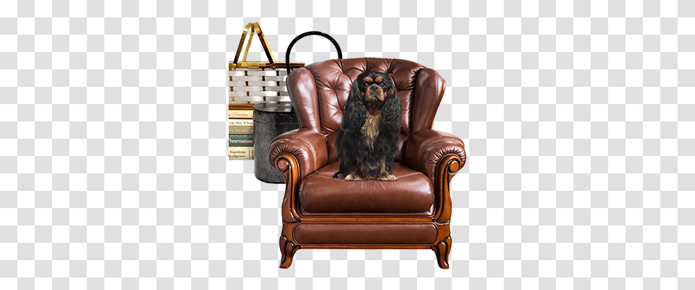 Leather Chair Fridge Magnet P Calm And Love Your King Ch Club Chair, Furniture, Dog, Pet, Canine Transparent Png