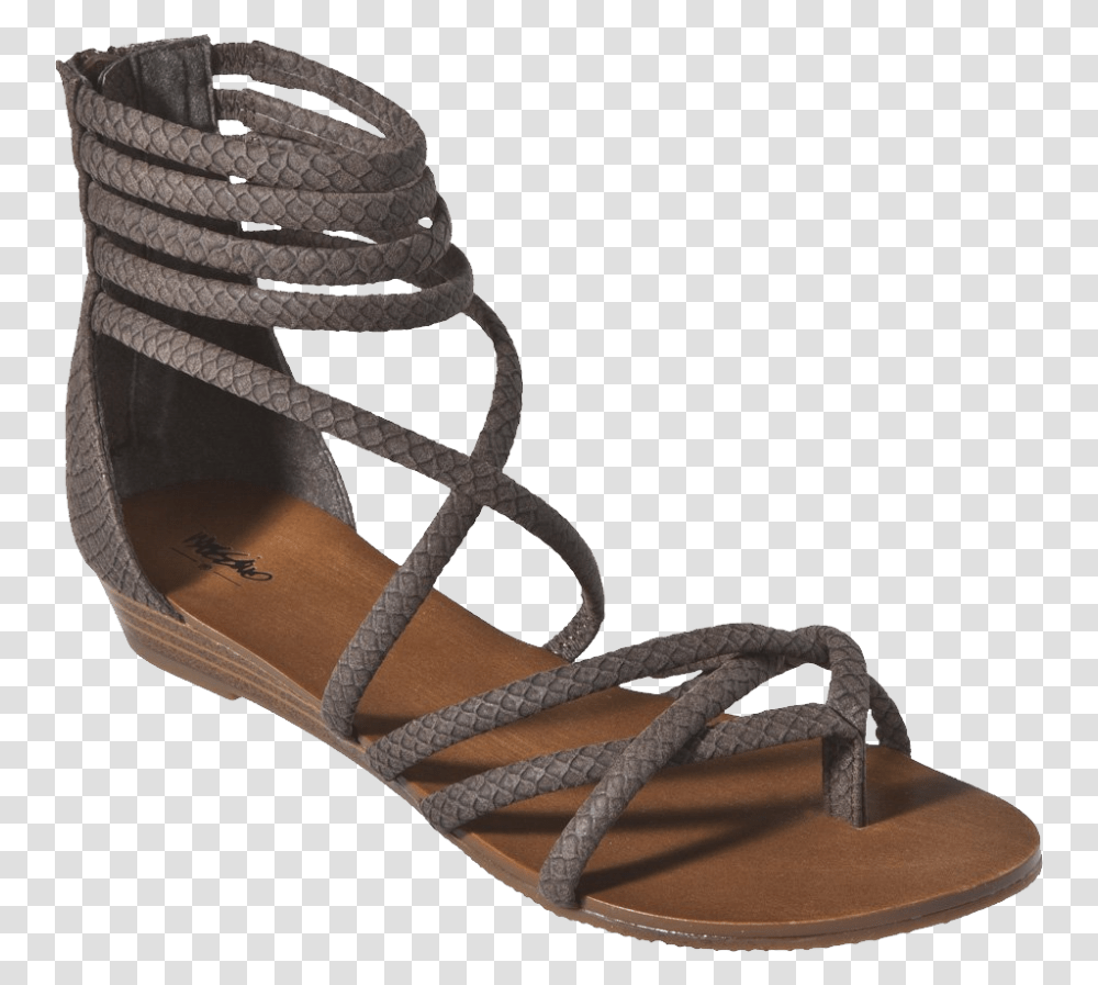 Leather Sandal Ladies Image Sandals With Background, Apparel, Footwear Transparent Png