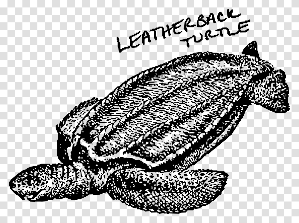 Leatherback Turtle Clip Arts Sea Turtle Clip Art, Gray, World Of Warcraft Transparent Png