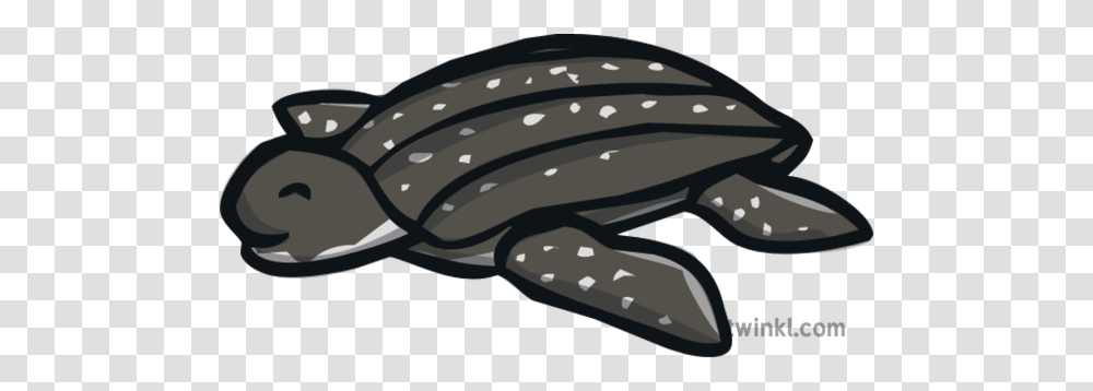 Leatherback Turtle Illustration Fin, Wristwatch, Sea Life, Animal, Tortoise Transparent Png