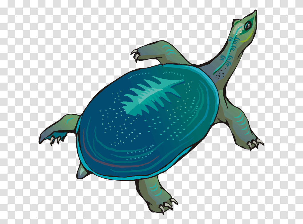 Leathery Clipart, Turtle, Reptile, Sea Life, Animal Transparent Png