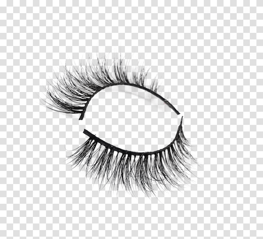 Leauxla Lashes Image Eyelash Extensions, Brush, Tool, Animal, Sea Life Transparent Png