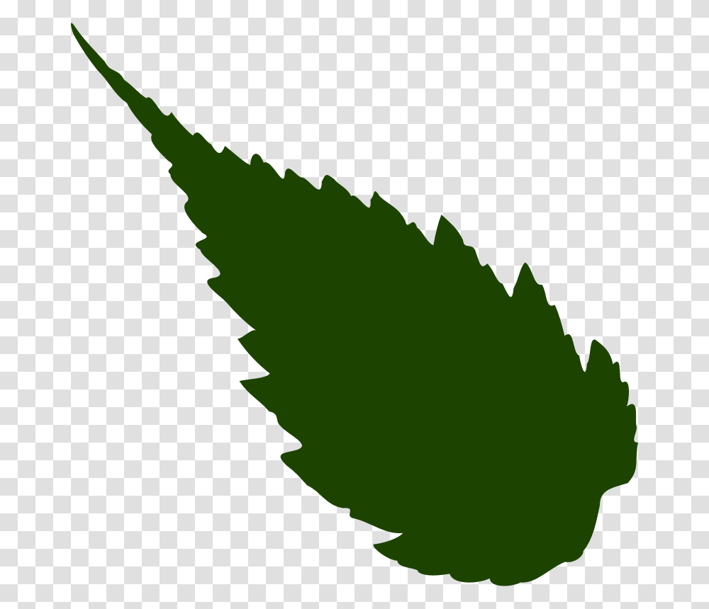 Leave Clip Art, Plant, Leaf, Animal, Aloe Transparent Png