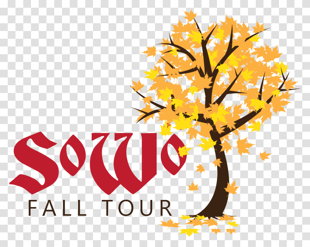 Leave For Mountain Cruise Sowo Fall Tour, Tree, Plant, Leaf, Maple Transparent Png