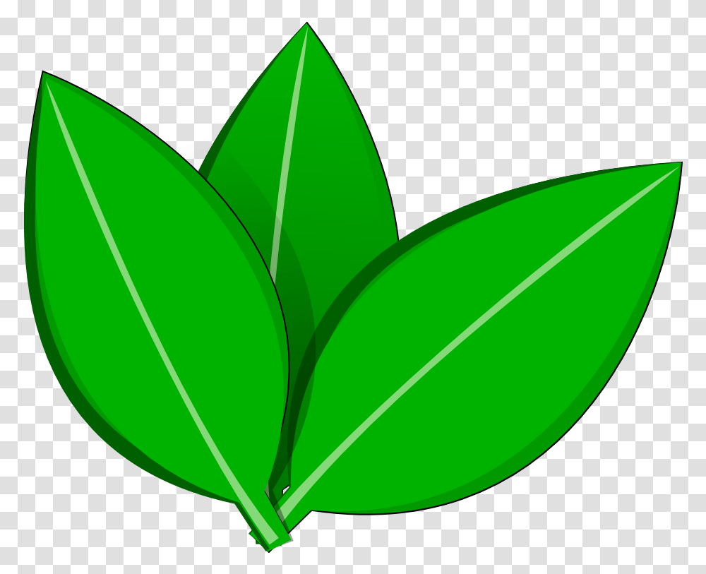 Leave Vector 4 Image Vector Tree Leaf, Plant, Flower, Blossom, Veins Transparent Png