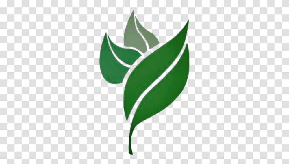 Leave Vector Logo Picture 1427089 Leaf Health And Healing Logos, Plant, Aloe, Seed, Grain Transparent Png