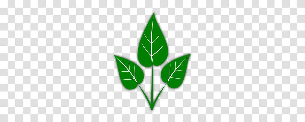 Leaves Nature, Leaf, Plant, Veins Transparent Png