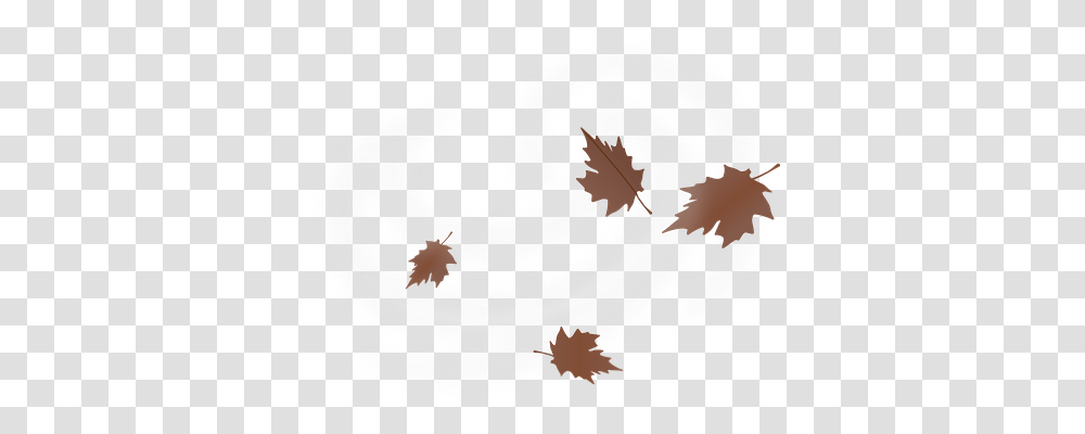 Leaves Nature, Leaf, Plant Transparent Png