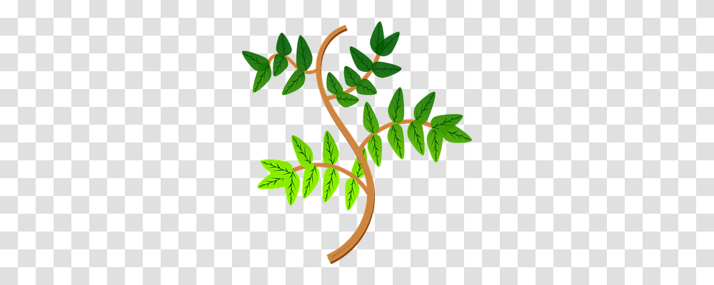 Leaves Nature, Plant, Green, Tree Transparent Png