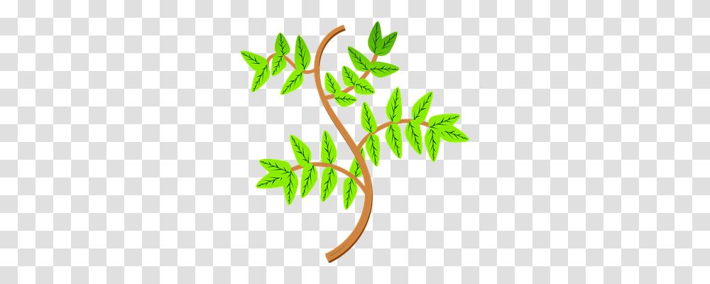 Leaves Nature, Plant, Tree, Flower Transparent Png