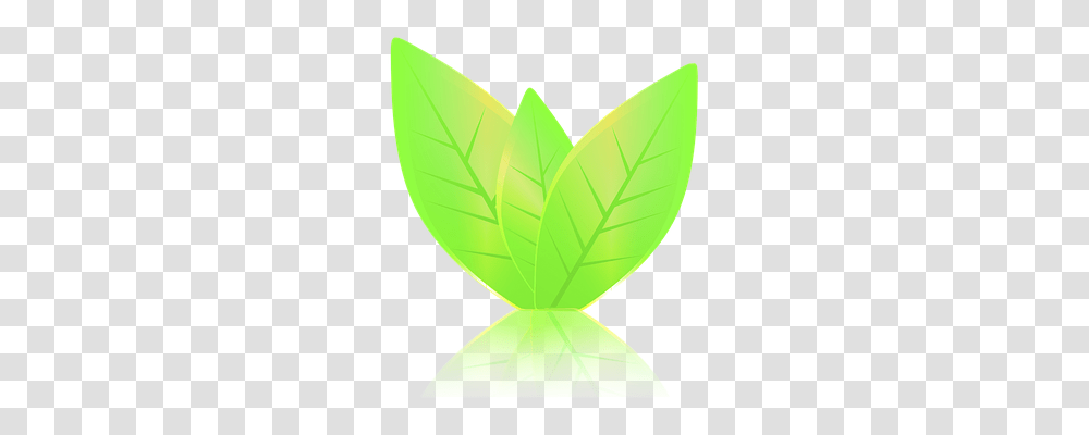 Leaves Nature, Leaf, Plant, Pottery Transparent Png