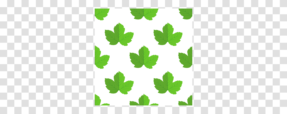 Leaves Leaf, Plant, Green, Vase Transparent Png