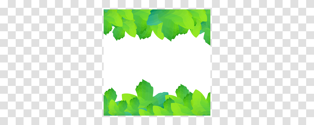 Leaves Green, Leaf, Plant Transparent Png