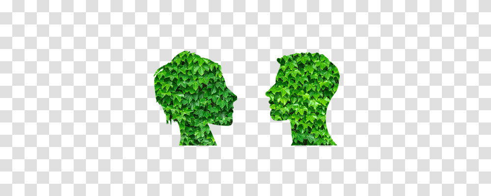 Leaves Person, Plant, Leaf, Vegetation Transparent Png