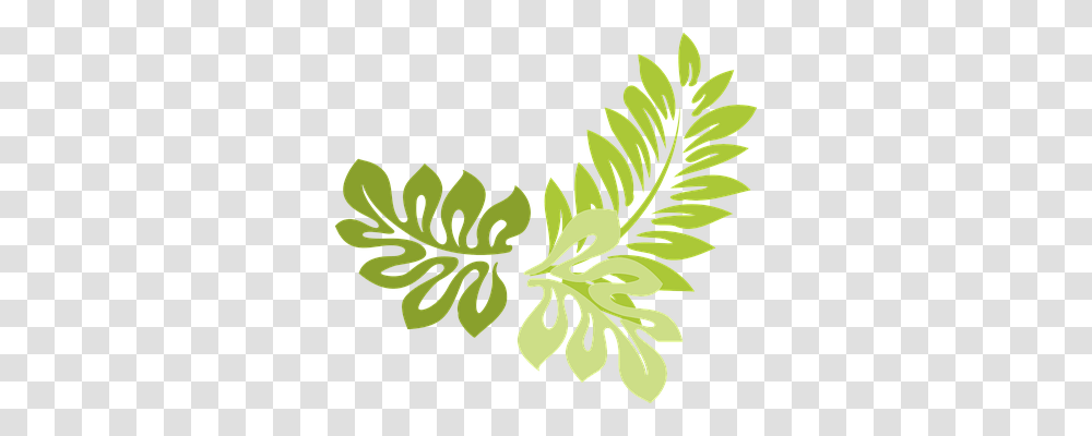 Leaves Nature, Green, Leaf, Plant Transparent Png