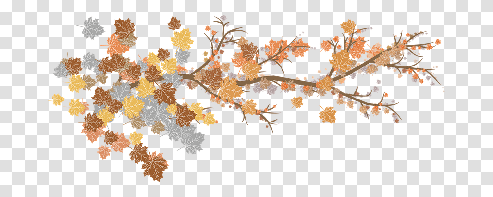 Leaves Nature, Pattern, Ornament, Floral Design Transparent Png