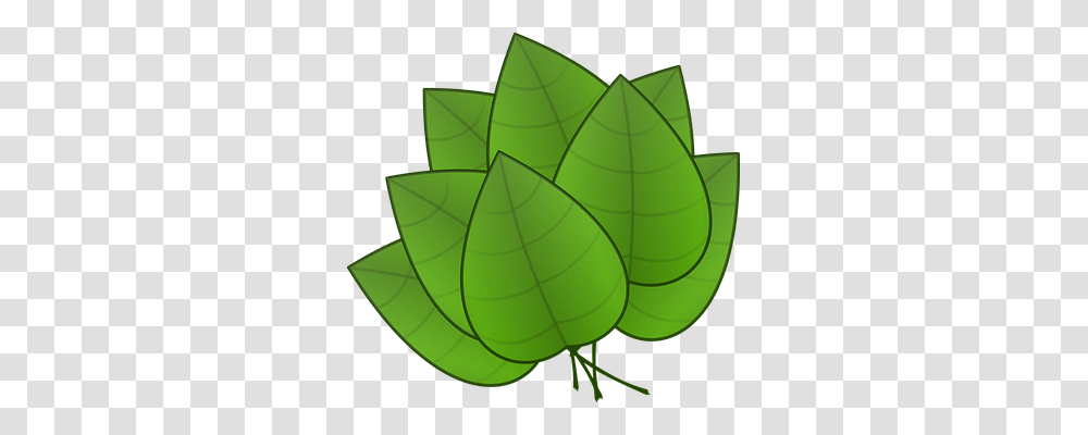 Leaves Nature, Leaf, Plant, Green Transparent Png