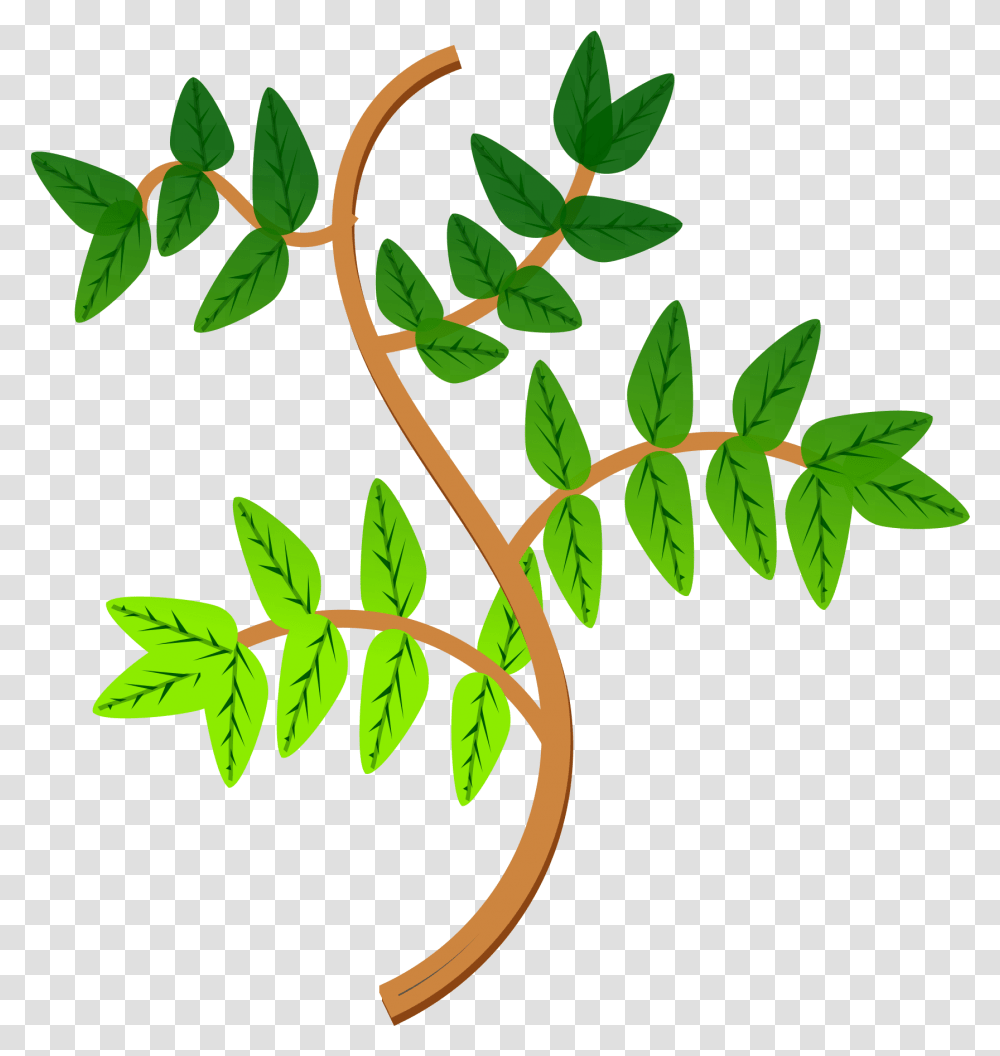 Leaves And Branches 2 Clip Arts Clipart Branches, Leaf, Plant, Green, Flower Transparent Png