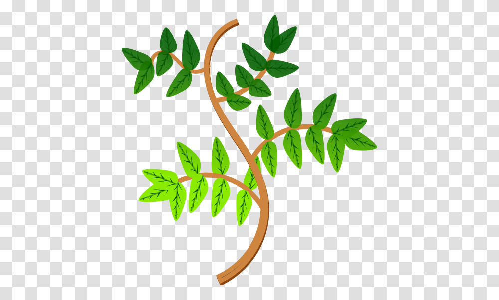 Leaves And Branches Clipart, Leaf, Plant, Green, Flower Transparent Png