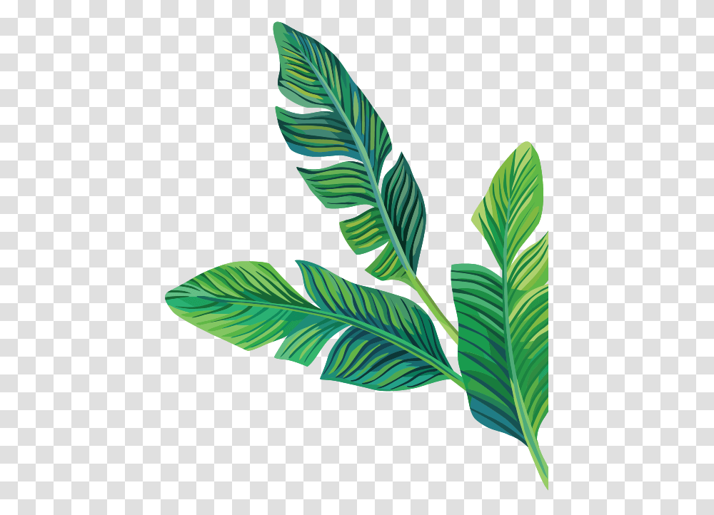 Leaves Bananaleaves Tropical Freetoedit, Leaf, Plant, Bird, Animal Transparent Png
