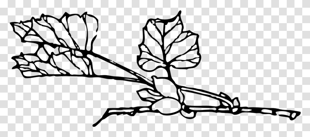 Leaves Black And White Clipart Cy En Trmh, Gray, World Of Warcraft Transparent Png