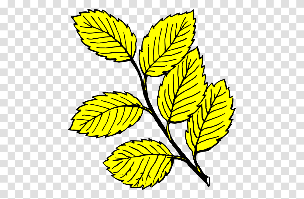 Leaves Black And White, Leaf, Plant, Veins, Banana Transparent Png