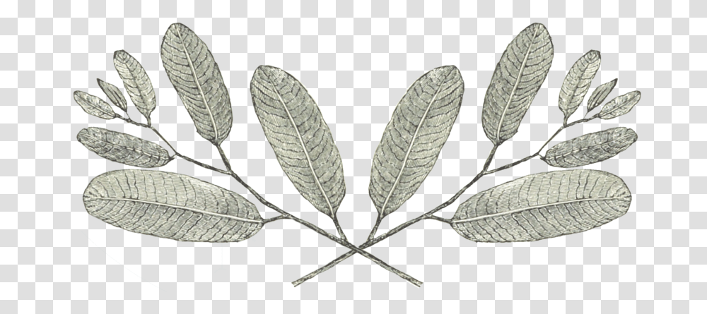 Leaves Blog, Leaf, Plant, Snake, Reptile Transparent Png