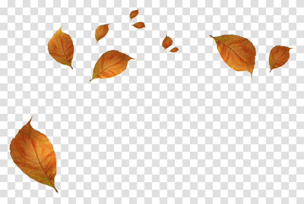 Leaves Blowing Clip Art, Leaf, Plant, Tree, Potted Plant Transparent Png
