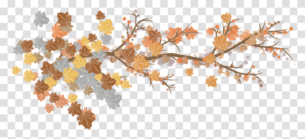 Leaves Branches Autumn Nature Plant Botany Garden Fall Branches, Leaf, Tree, Pattern, Ornament Transparent Png