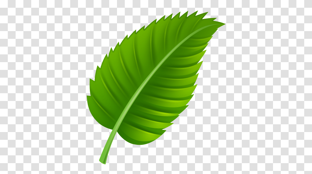 Leaves Clip Art And Art, Leaf, Plant, Green, Banana Transparent Png