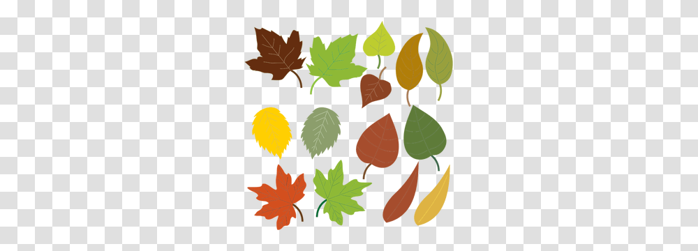 Leaves Clip Art, Leaf, Plant, Seed, Grain Transparent Png