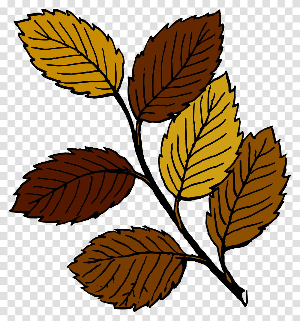 Leaves Clip Art, Leaf, Plant, Veins, Honey Bee Transparent Png