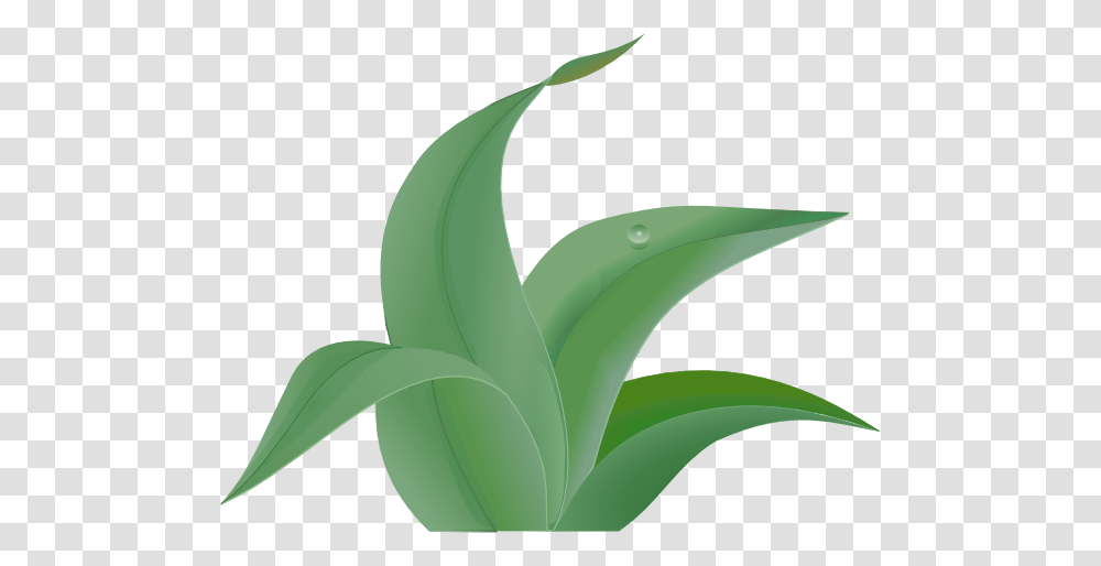 Leaves Clip Art, Plant, Leaf, Flower, Blossom Transparent Png