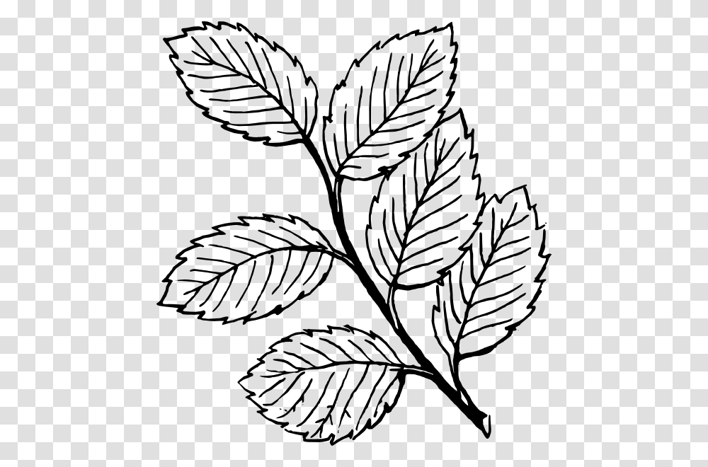 Leaves Clip Art, Potted Plant, Vase, Jar, Pottery Transparent Png