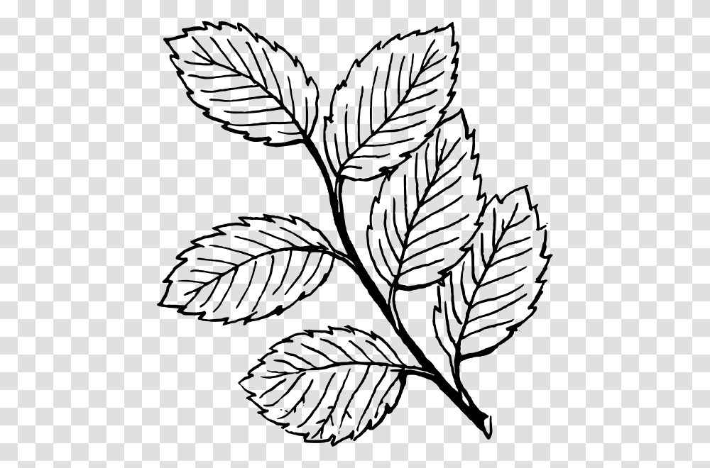 Leaves Clip Arts For Web, Gray, World Of Warcraft Transparent Png