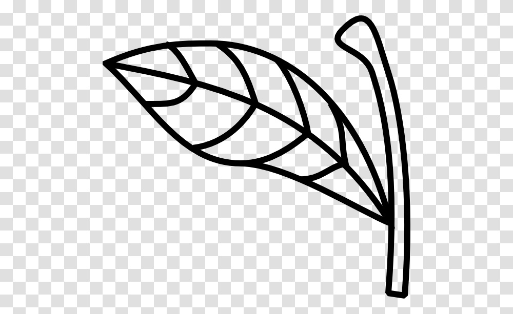 Leaves Clipart Apple Leaves, Leaf, Plant, Drawing, Stencil Transparent Png