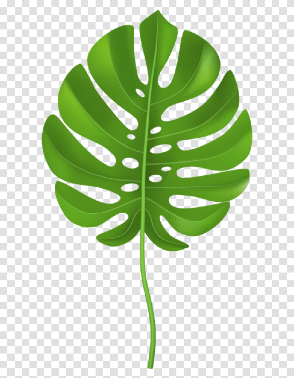 Leaves Clipart Cartoon Clip Art Jungle Leaves, Green, Leaf, Plant, Pineapple Transparent Png