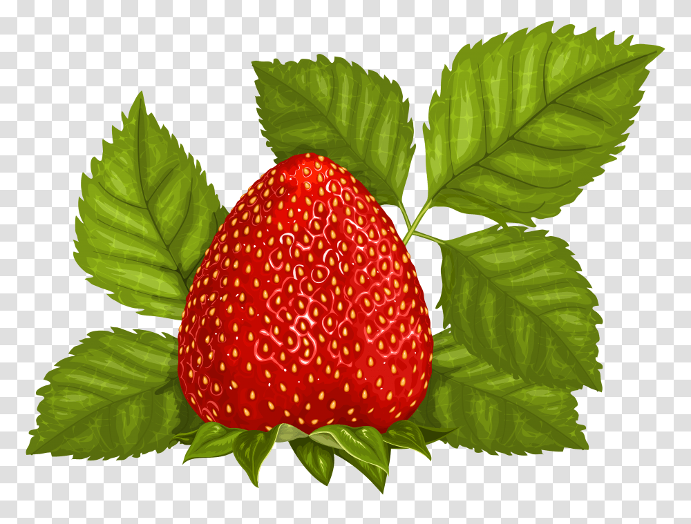 Leaves Clipart Collection, Strawberry, Fruit, Plant, Food Transparent Png