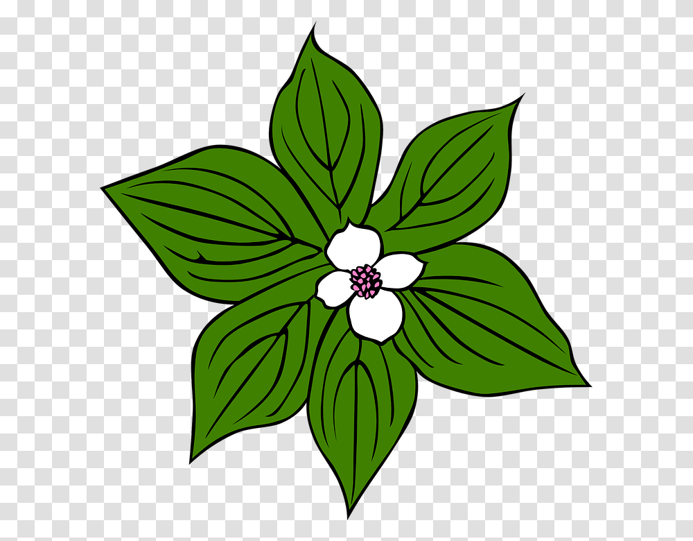 Leaves Clipart Flower, Leaf, Plant, Green, Floral Design Transparent Png