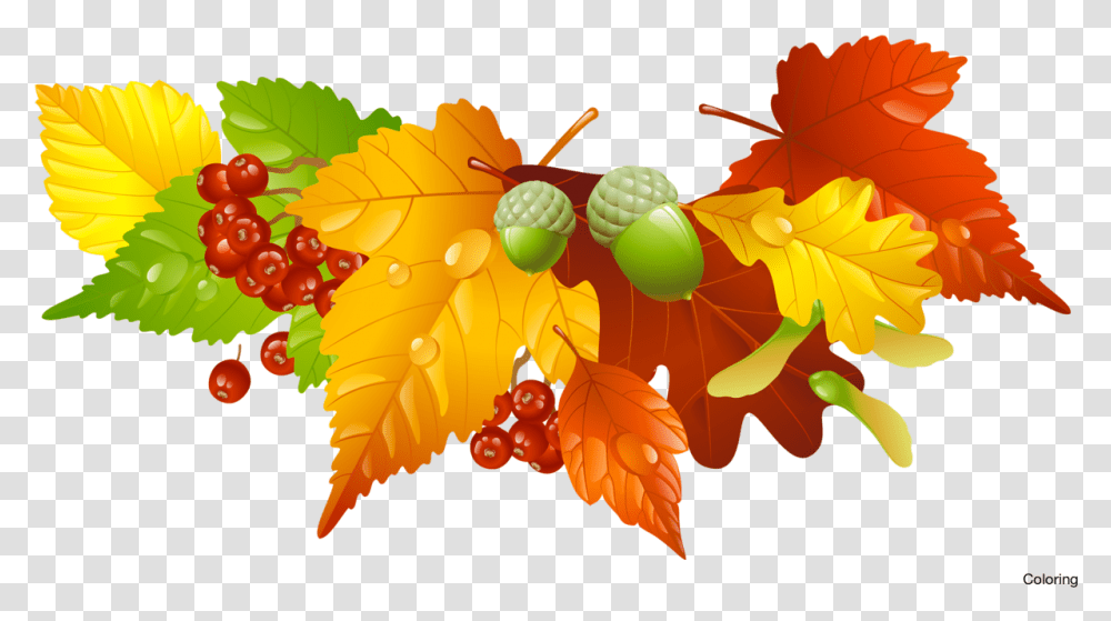 Leaves Clipart Free Clip Art Fall Autumn Clipart, Plant, Leaf, Produce, Food Transparent Png