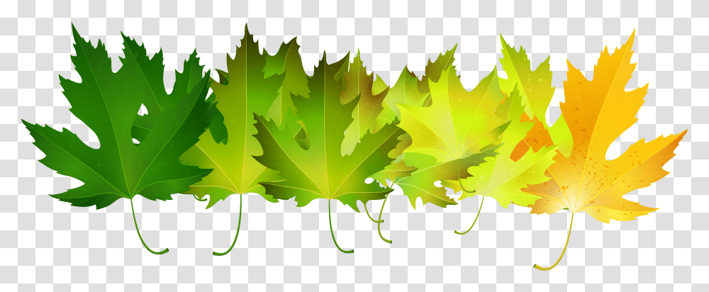 Leaves Clipart Green Free For Autumn Leaf Transparent Png