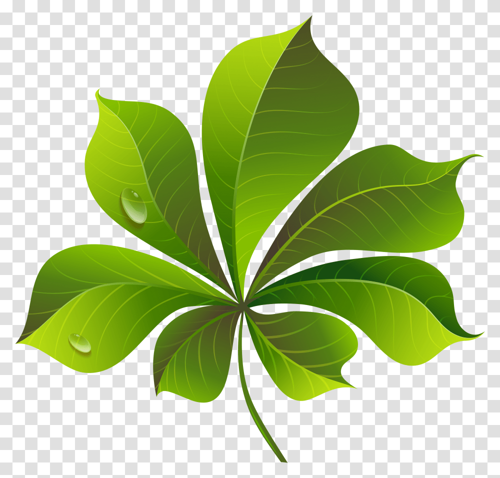 Leaves Clipart Leaf Clip Art, Plant, Green Transparent Png